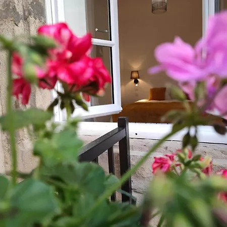 Le Jardin Secret Conciergeriedamecarcas Apartment Carcassonne Exterior photo
